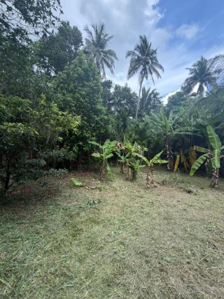 Residential Land- 7.50  Cents For sale in Kuttoor, Naithalakkavu, Thrissur | Real Estate Thrissur.