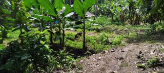 Plot for Sale in Mangalam, Chenganuur, Kerala