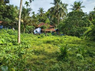 20 Cent Land For Sale Location : Madapeedika (Thalassery-Kannur Dist)