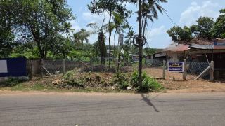 9 cent Plot For Sale In Nalkavala,Kottara