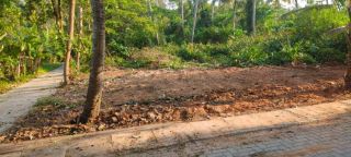 85 Cents Land for Sale – Edappally, Kochi | Direct Owner