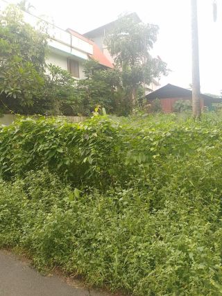 Residential Land For Sale in Thiroor, Thrissur.