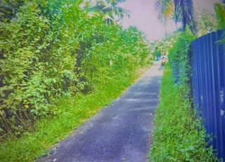59 Cents of Prime Land for Sale in Ezhupunna South