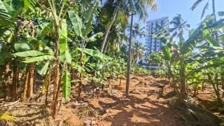 50-Cent Premium Residential Plot Near Hotel Karthika Park & Technopark