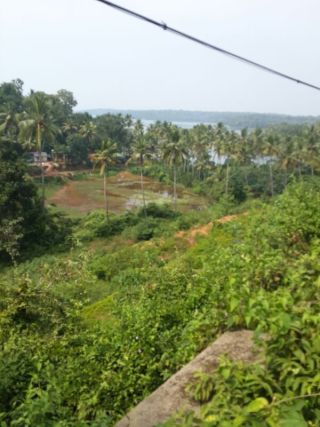 Agricultural land for sale