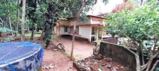 14 cents plot for sale at a prime location in Naduvattom Mahe, North Beypore,kozhikode