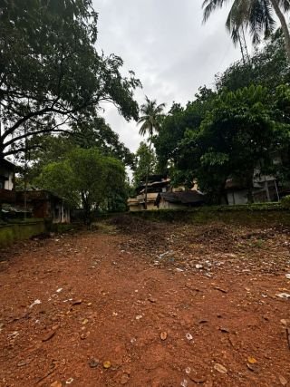 8.5-Cent Residential Plot for Sale in Patturaikkal, Thrissur
