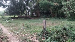 Residential land  10 cents  for sale in Elookkara,Kadungallor, Near