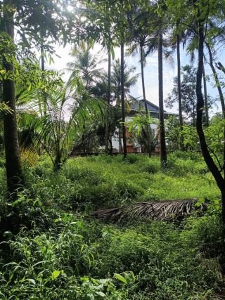 16 cent residential plot for sale in Thekkumkara, Wadakkanchery