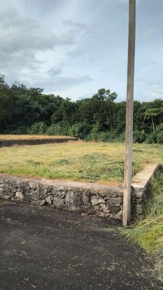 Plot for sale - Mulanthuruthy