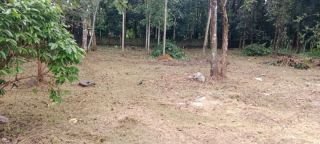30 cents Residential land