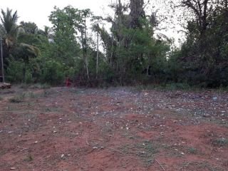 PLAIN LAND 33.25 FOR SALE