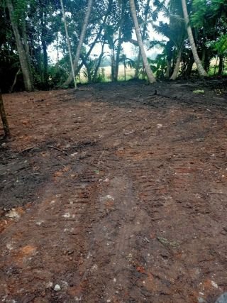 Property for sale in Purakkad Alappuzha (15 cent)