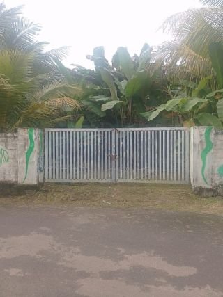Prime Residential Land for Sale in Pallimoola, Thrissur