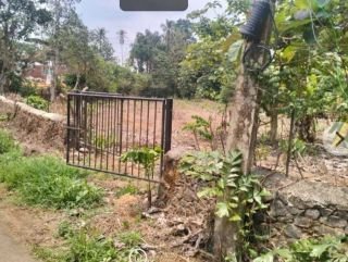 Residential Land at Kattachira