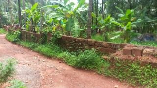 Housing plot in a residential area in Edayil peedika
