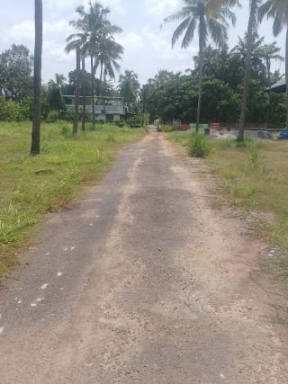 Residential Plots for Sale in Puranattukara, Thrissur