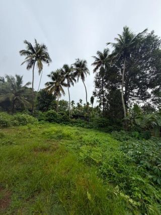 Residential Plot for Sale in Kaiparambu, Thrissur