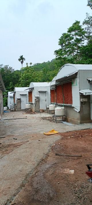 LARGEST OYSTER MUSHROOM FARM IN THIRUVANANTHAPURAM