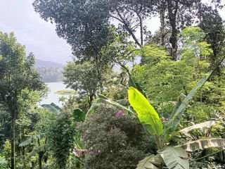 Rare Wayanad Investment | 50 Cents | Waterfront & Mountain Views | Luxury Resort Zone