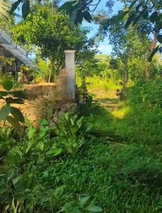 83 cents Premium residential/commercial plot for sale in valavoor-near IIT Kottayam