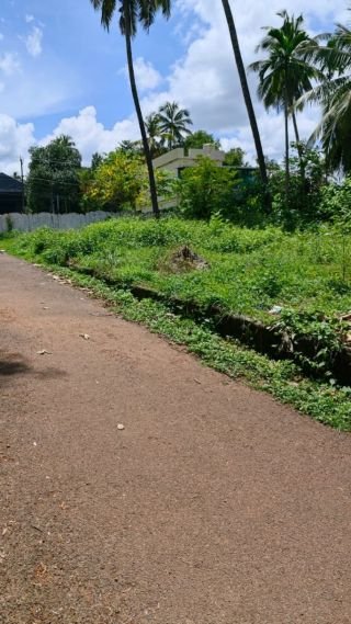Prime Residential Plot for Sale in Chelakkottukkara, Thrissur