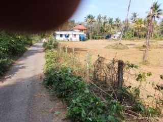 CHALAKUDY LAND FOR SALE (FULL/ SMALLER PLOTS)