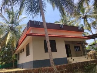 House + Fruit Garden Land, 40 cents, Periye, Kanhangad