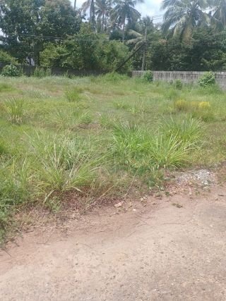 Residential Plots for Sale in Puranattukara, Thrissur