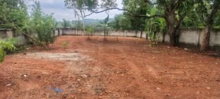 Prime Gated Plot for Sale Nr Puliyarakonam 11 Cents direct from Owner – Ready to Build!