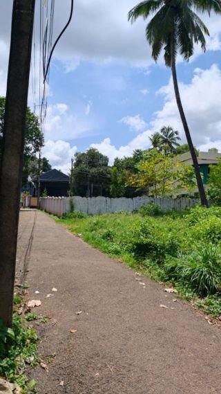 Prime Residential Plot for Sale in Chelakkottukkara, Thrissur