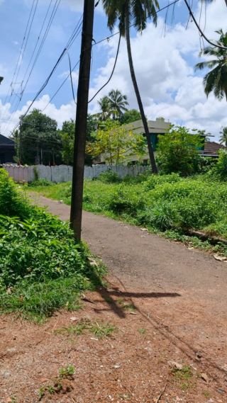 Prime Residential Plot for Sale in Chelakkottukkara, Thrissur