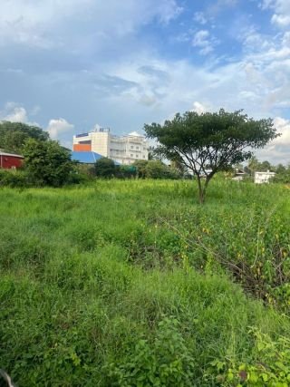 5.5 Acres Commercial Land for Sale – Kolothumpadam, Peringav, Thrissur
