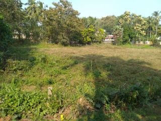 Parambu Housing plot for sale