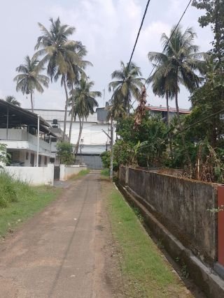 Land for Sale in Kuttanellur, Thrissur
