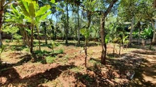 ​25 Cents Commercial Land for Rent/Lease near Vizhinjam Port & NH 66