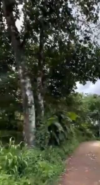Good property roadside near school etc all facilities available
