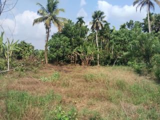 വീട് വെക്കാൻ പറ്റിയ സ്ഥലം