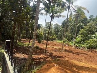 Flat plot with great views