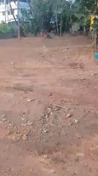 20 Cents of Land for Sale Near Kerala Varma College, Thrissur – Immediate Sale