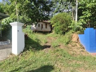 39 cent plot and a old house