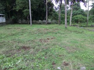 11 cent land in chengannur idanadu