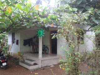House with 5 cent plot for sale at Pathanapuram