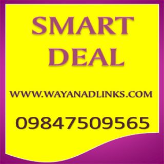 A Good income ,a good plot in wayanad-wayanadlinks