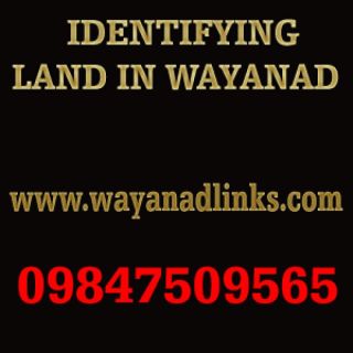 Good land and plot for sale at wayanad..wayanadlinks
