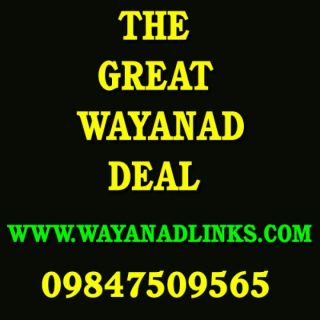 3Acre land at Meenagadi-wayanadlinks