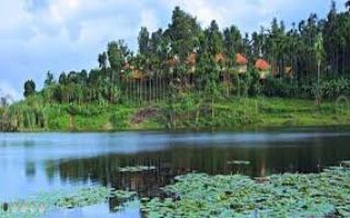 25 cent land for sale near to karapuzha dam