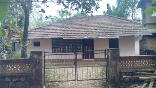Near Teak Museum Nilambur !