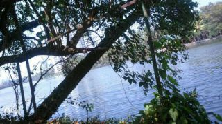 Waterfront land Tripunithura Gandhi square