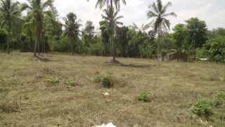 114 cents for house plots , near Pulpally town